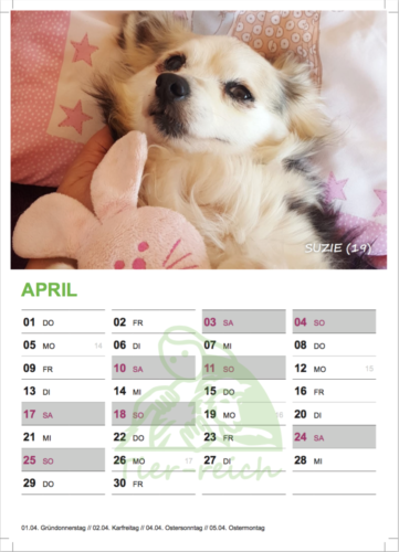 kalender 21 suzie