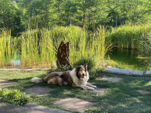luna teich1