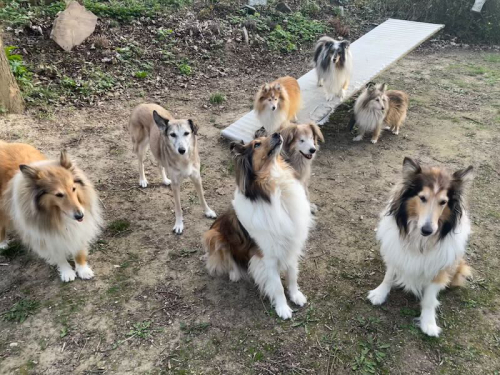luna und meine
